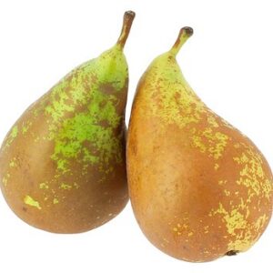 PERES CONFERÈNCIA - KG